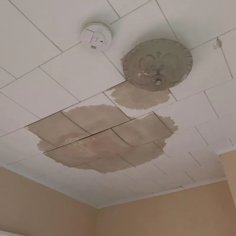 Ceiling Water Damage Repair in Crystal, MN