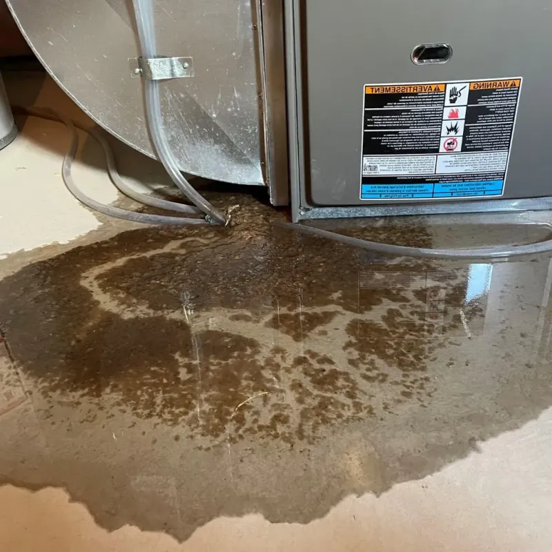Pipe Burst and Leak Restoration in Crystal, MN