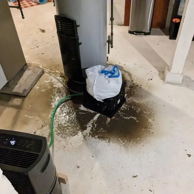 Sewage Backup Cleanup Service in Crystal, MN